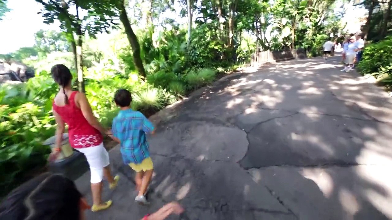 Disney World Brasil