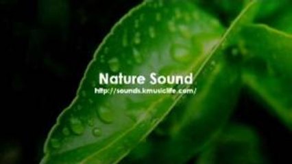 Nature Sound 1 - THE MOST RELAXING SOUNDS -