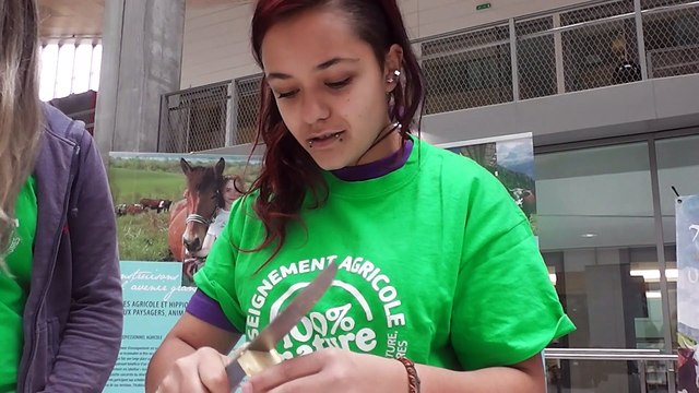 Le lycée de Contamine-sur-Arve présent au siège de la Région Rhône-Alpes