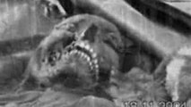 KGB UFO Krash- ET Skull-Russian Alien/X files film-16 mm original.