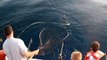 Kids Catch Really Big Fish on Lake Michigan while at Summer Camp Anokijig