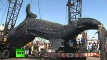 THE BIGGEST FISH OF THE WORLD - O MAIOR PEIXE DO MUNDO