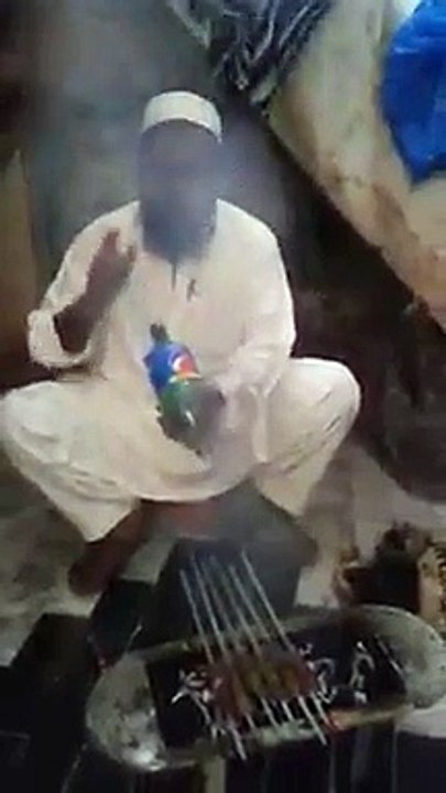 Desi Fan