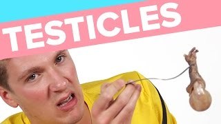 People Eat Animal Testicles