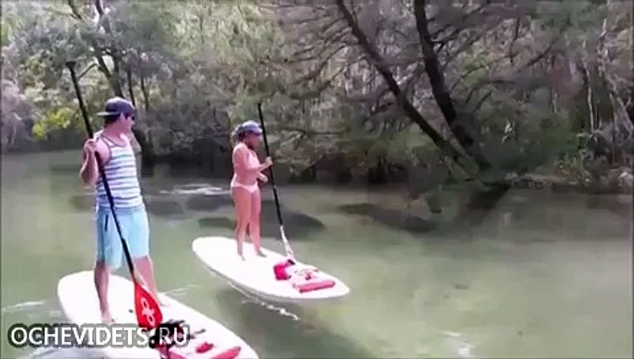 Они спокойно плыли по реке, как вдруг увидели это...