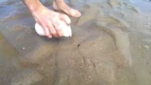 Another: How to Catch a Razor Fish Video!