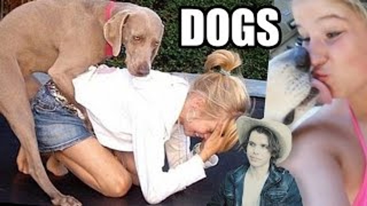 Dogs Humping People (Girls, Tigers & Other Funny Pics) - Dailymotion Video
