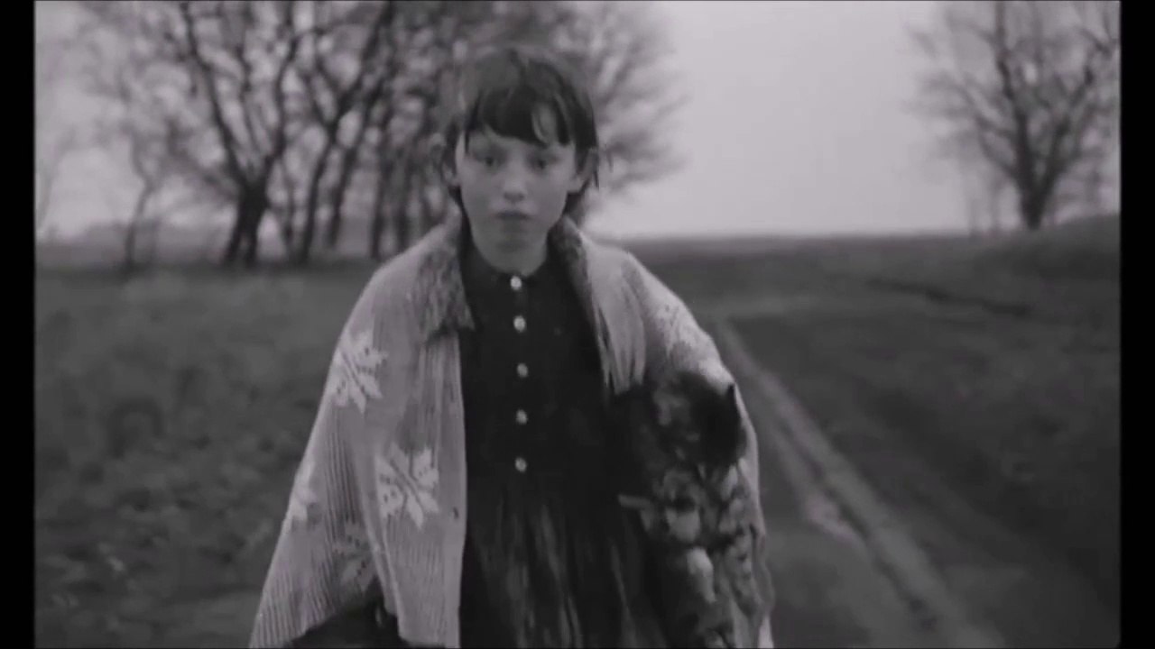 Current 93 - The Cat Is Dead