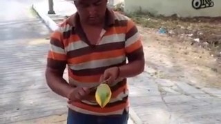 eat a mango like this guy