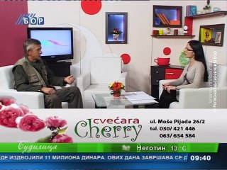 Budilica gostovanje (Milorad Piljević), 18. oktobar 2015. (RTV Bor)