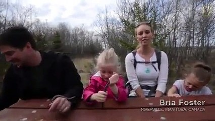 Yılanı gördüler ama koskoca köprüyü göremediler - Funny videos - Komik videolar