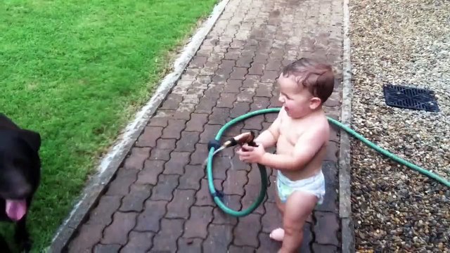 ★ BEBE SE MUERE DE RISA MOJANDO AL PERRO - Perros Locos Humor Divertidos Chistosos risa