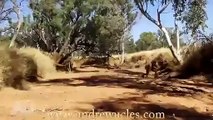 Vahşi hayvanları eliyle yakalayan adam - Funny videos - Komik videolar