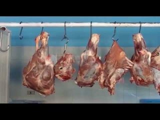 Tregtimi i mishit, ja cilat pika përbëjnë kërcënim për shëndetin e shqiptarëve