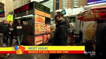 Pit Bull Called Hulk, 175 Pound Dog Walks NYC | Good Morning America | ABC News