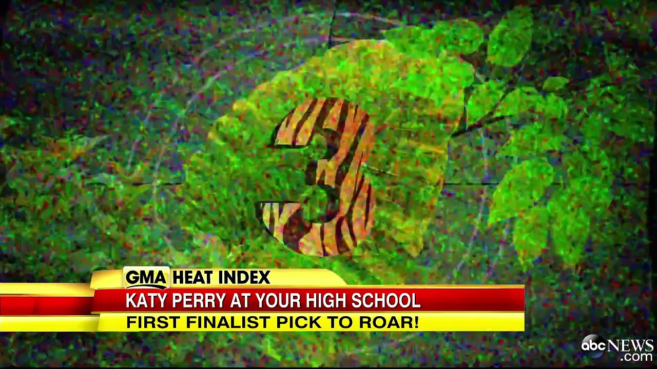 Katy Perry Roar Contest Finalist: Girl With Down Syndrome Stars