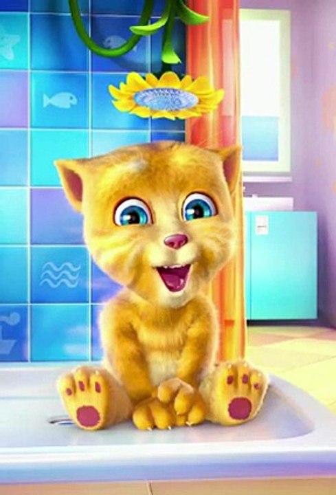 Funny cats Video
