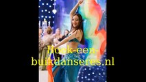 Boek-een-buikdanseres.nl