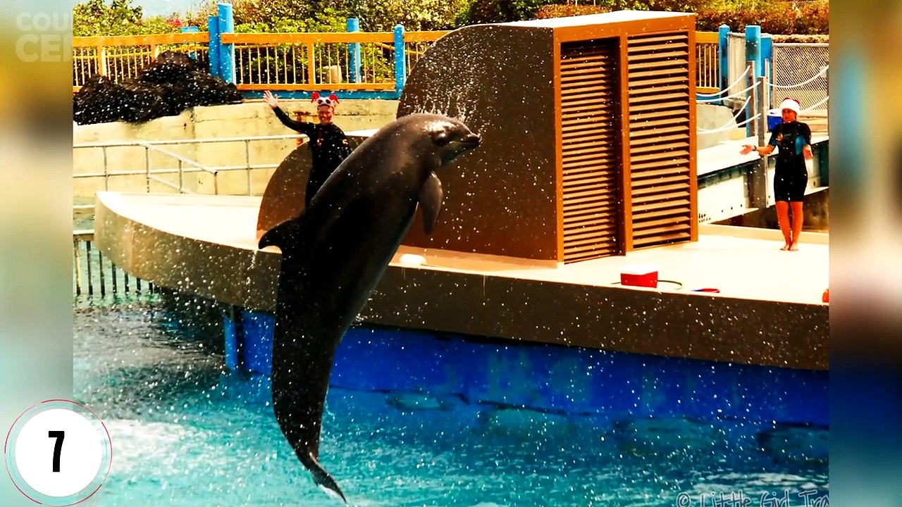 10 Extremely Weird Hybrid Animals