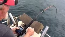 Shark Steals Fish off Fishermans Line