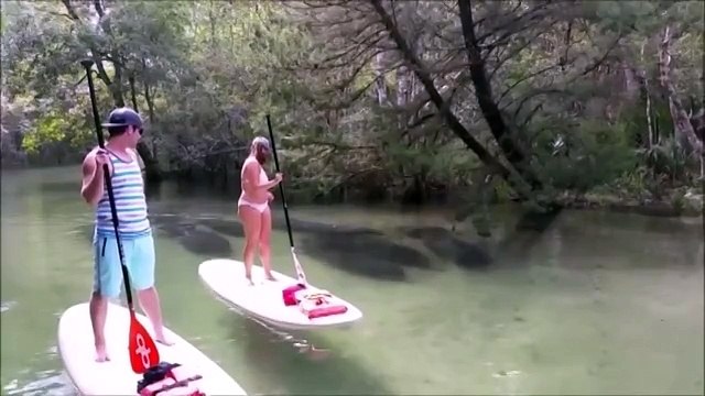 Они спокойно плыли по реке, как вдруг увидели это…