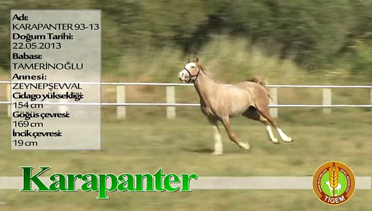 KARAPANTER