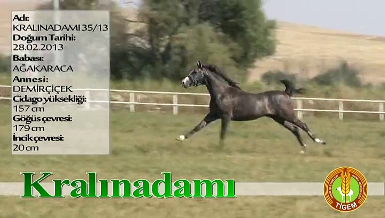 KRALINADAMI