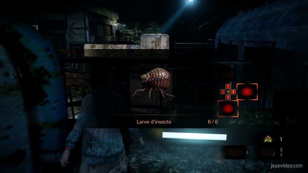 Larves d'insectes (BarryNatalia)