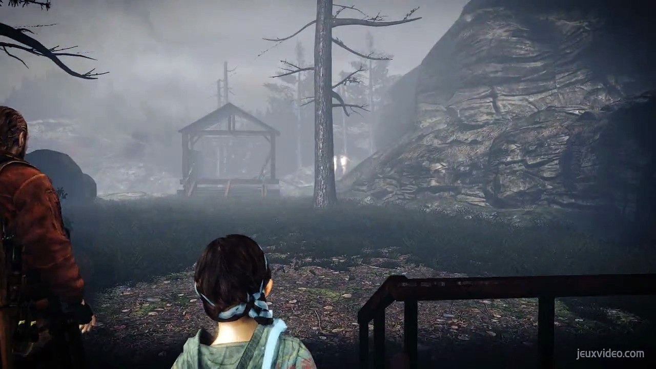 Larves d'insectes (BarryNatalia)