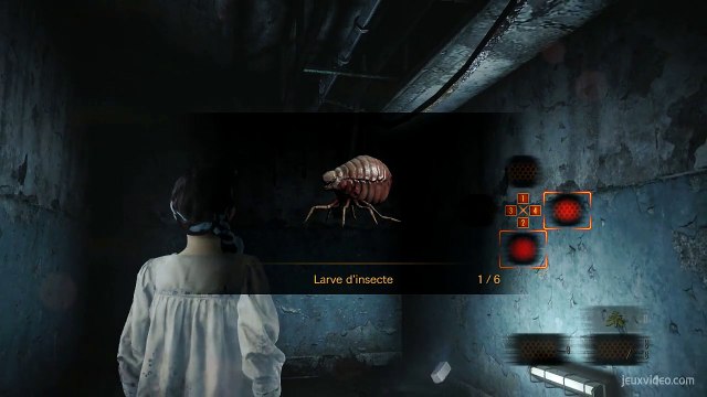 Larves d'insecte (BarryNatalia)