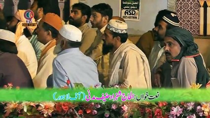 10 Lo Madine ki Tajali se Lagae hoe han (By Shahzad Hanif Madni)2015