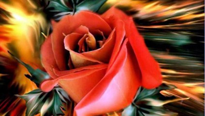 Slavko Milienkovic-Oci da te vide