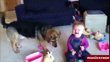 WHEN DOGS & BABIES COLLIDE