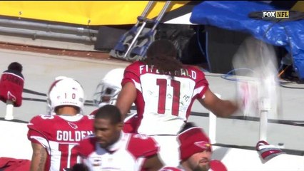 Larry Fitzgerald smashes helmet holder