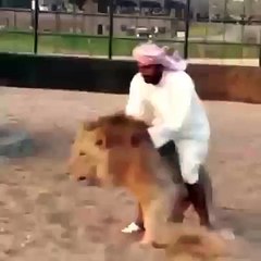 Yürek Yiyip Zenci Çetelere Küfür Adamın Hazin Sonu