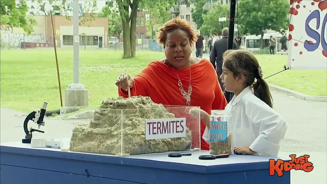 Termites Eats Spoon !