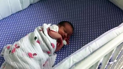 Boxer Responds To Newborns First Cries-XP4NP3v3jQE