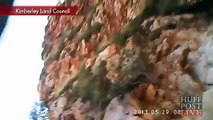 Bird Steals Camera In Australia, Records Journey-f0XczYqsx6g