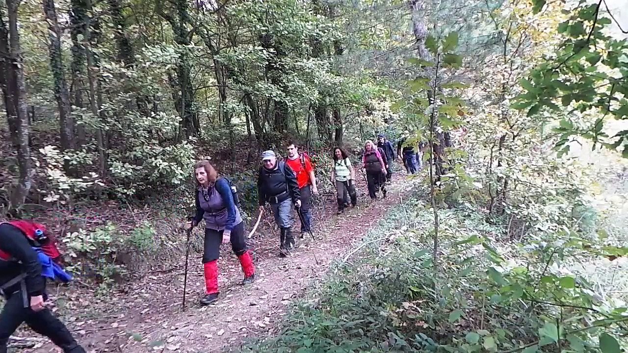 arapoturagı - tüfekcikonak 10 km 18-10-2015