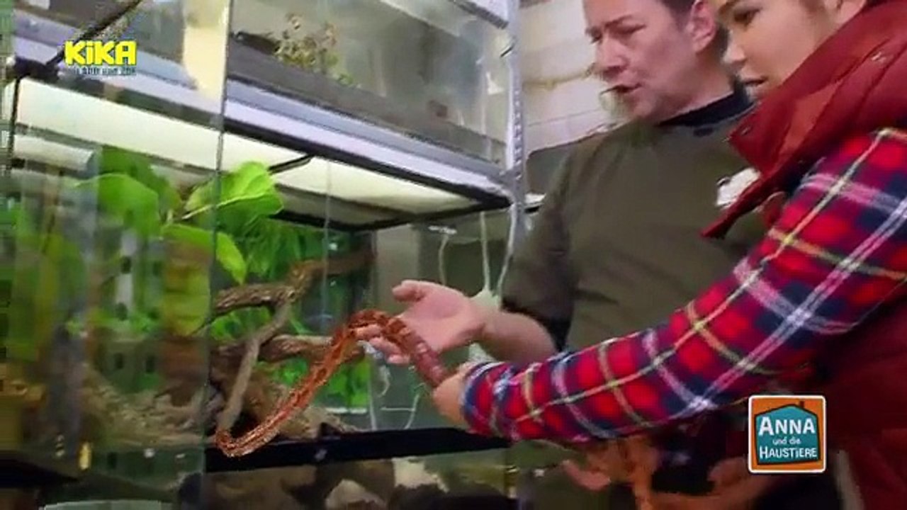 Anna und die Haustiere - Schlange