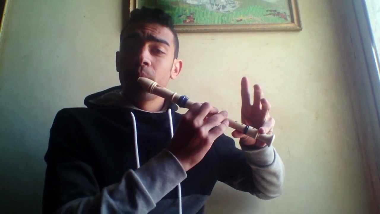 Titanic - Recorder Beatbox