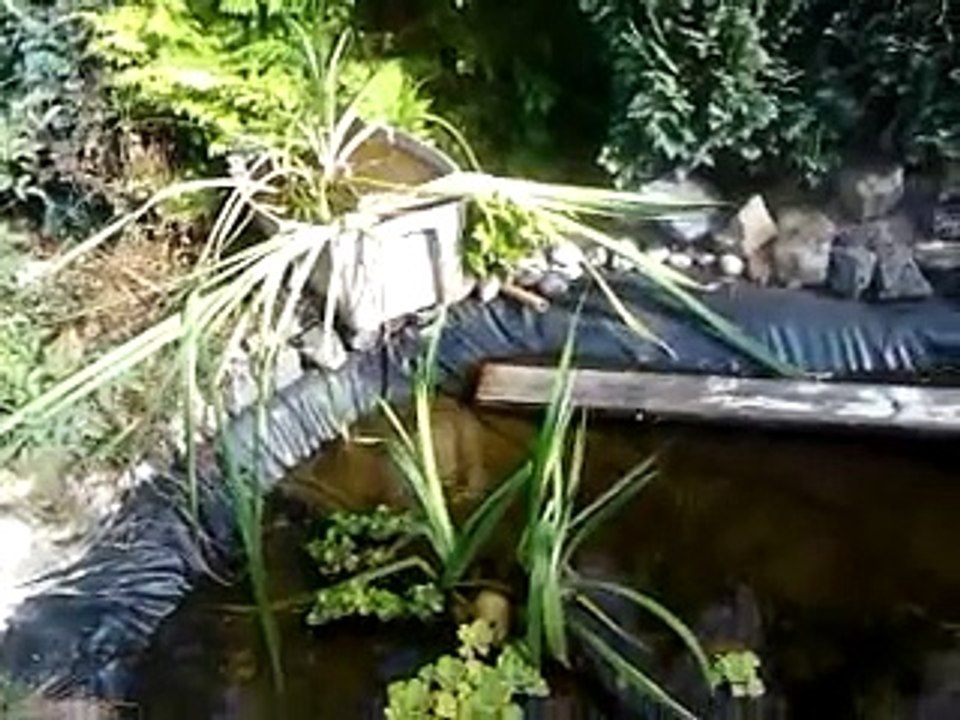 le banc de zolth 23 07 2015