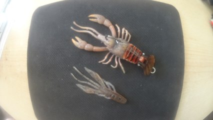 Leurres imitation écrevisse