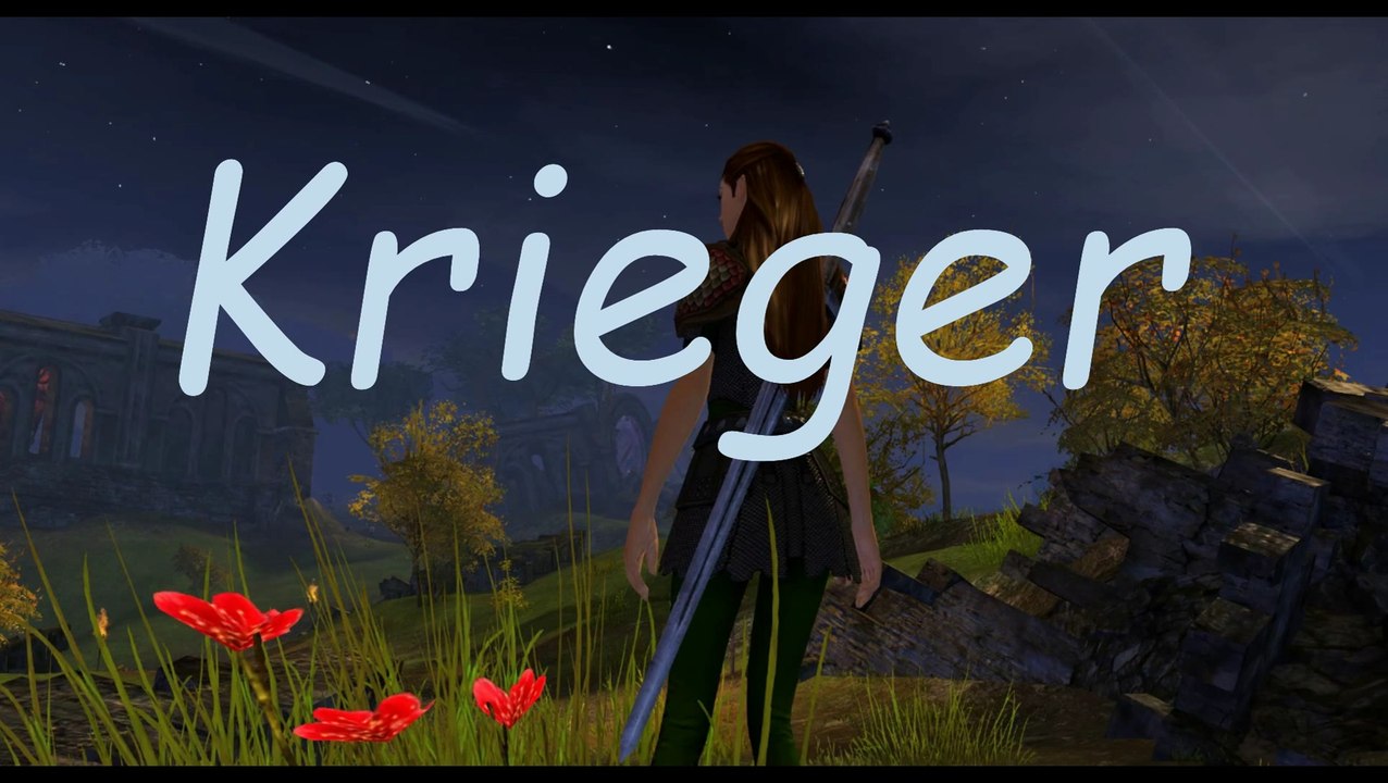 ░ Guild Wars 2 ░  Klasse:  Krieger