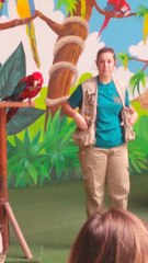 Must watch Parrot Spectacle Part2