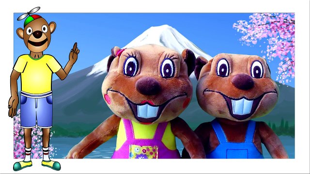 Busy Beavers From Amazon | Buy Billy & Betty Beaver Plush Toy Animals, Kids Stuffed Toys