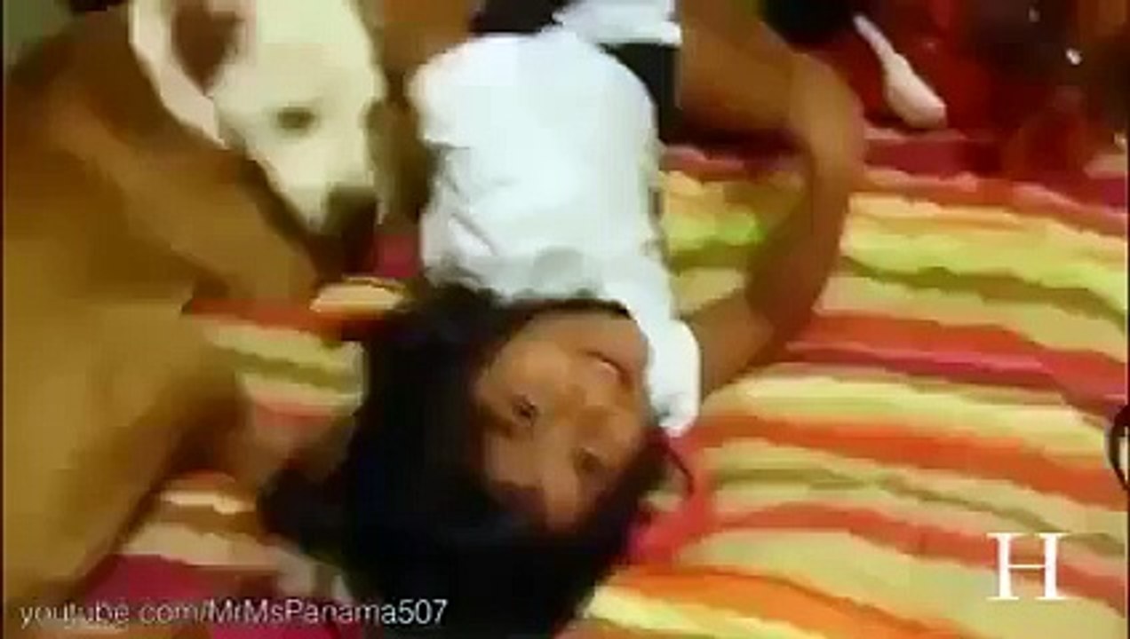 Pit Bulls Attack: How Will Be End [Cute Dogs | Animals Attack | Dog Attack]