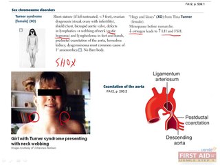 Reproductive Pathology Part 1