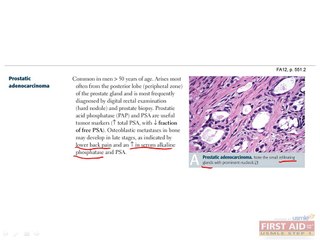 Reproductive Pathology Part 6