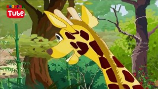 Mowgli Jungle Book | Cartoon in English ►5 | Cartoon Adventures | Funny Shows | Bachpan